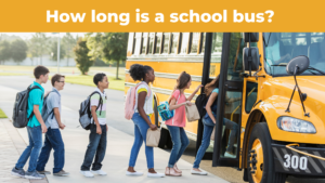 How long is a school bus? Measurements for builds & budgets in 2024